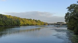 Trump Cuts to Chesapeake Bay Program Will Make the Potomac Dirtier, Environmentalists Say