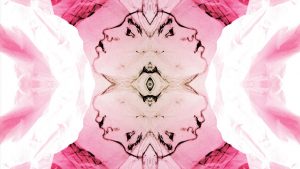 DC-Area Businesses Offering #ADayWithoutAWoman Specials