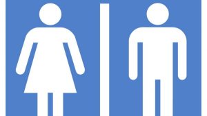 How Easy Is It to Find a Bathroom on Your Metro Line?