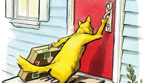 Want to Adopt a Pet? Try Fostering First.