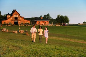 Everything You Need to Know About Virginia and Maryland Wine