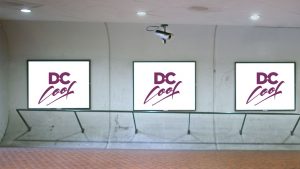 DC Leaders Should Just Give Up on Rebranding “The Swamp”