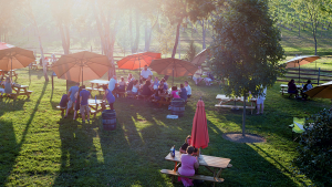 Virginia Wineries That Are Open Every Week Day