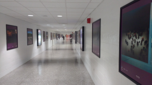 Notes from Underground (of Crystal City’s Labyrinthine Mall)