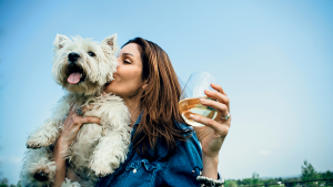 Six Dog-Friendly Wineries Near DC