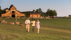 How to Spend a Day in Leesburg’s Wine Country