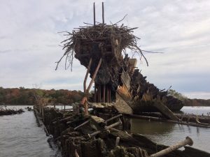 The Largest Ship Graveyard in the Hemisphere Is Right Near DC