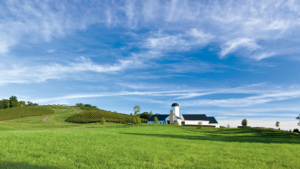 The Best Virginia Day Trip for Wine Snobs