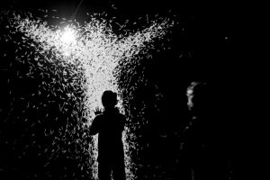 Things To Do in DC This Weekend (June 1-4): Jazz Shows, A Peruvian Food Festival, and an Interactive Digital Art Exhibit