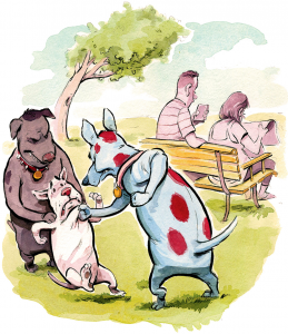 How to Deal With Aggressive Dogs at the Dog Park