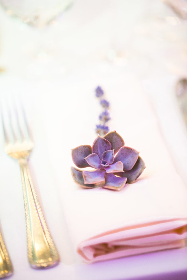 View More: http://susieandbecky.pass.us/rachel-jon View More: http://susieandbecky.pass.us/rachel-jon