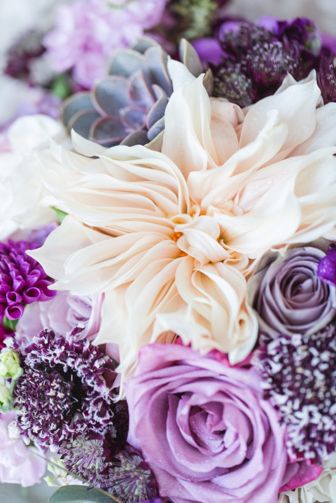 View More: http://susieandbecky.pass.us/rachel-jon View More: http://susieandbecky.pass.us/rachel-jon