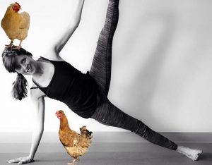 Step Aside, Goat Yoga: The Latest Farm Animal Workout Is…Chicken Yoga