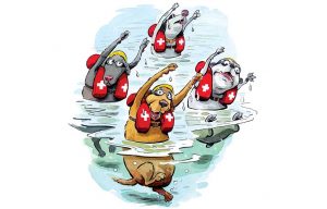 Aqua Workouts for Your Pet Are Now a Thing