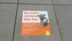 PETA is Using DC Sidewalks to Warn Against Walking Your Dog in the Middle of a Hot Day
