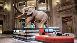 Filmmakers Hope to Pause a Plan to Scrap a Smithsonian IMAX for a Food Court