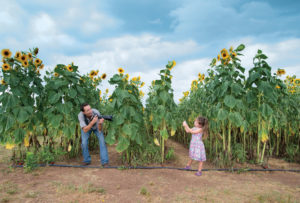 Frolic Through This Virginia Sunflower Field Before the Summer Ends