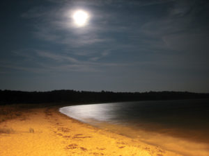 Camping Near DC: 3 Beautiful Campgrounds You Should Reserve Right Now