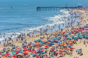 Sandbar Shark Bites Girl Swimming in Ocean City