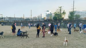 How 400 DC Neighbors Banded Together to Get Their Own Dog Park
