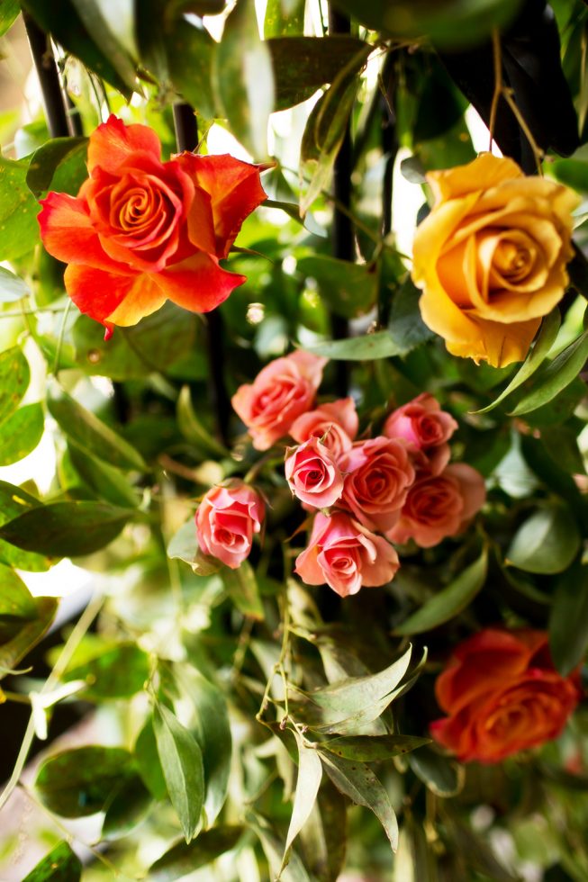 Erinn Smart + Andrew McLeod | The Happy Couple | Potomac5 Erinn Smart + Andrew McLeod | The Happy Couple | Potomac5