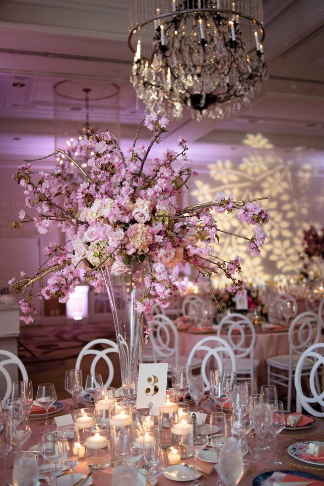 Lauren Bowen + Cameron Lewis | The Madious 16 Lauren Bowen + Cameron Lewis | The Madious 16