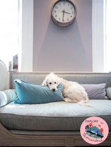 The Best Places to Stay In Shenandoah