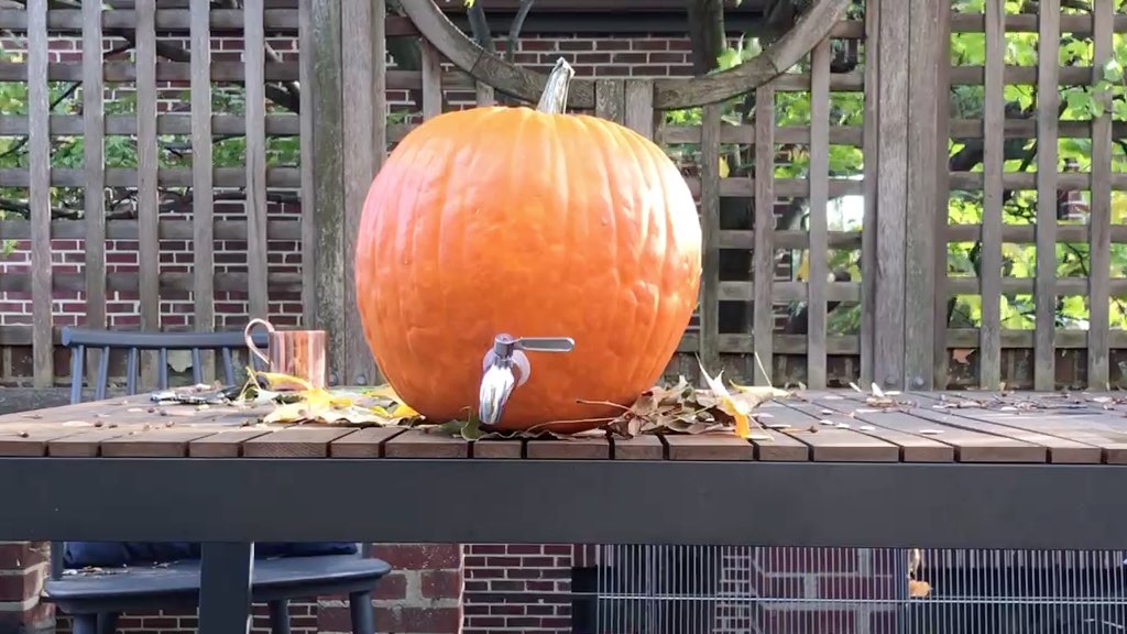 Pumpkin Keg
