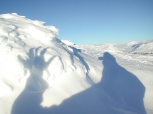 The US Government Doesn’t Want You to Fight the Yeti