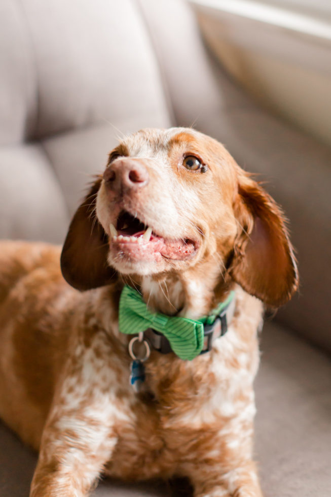 Foy_Martin_AnnaGracePhotography_Martin3BrideGroomPortraits1081 Foy_Martin_AnnaGracePhotography_Martin3BrideGroomPortraits1081