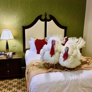 Presidential Turkeys Drumstick and Wishbone Receive Media Training, Love Classic Rock