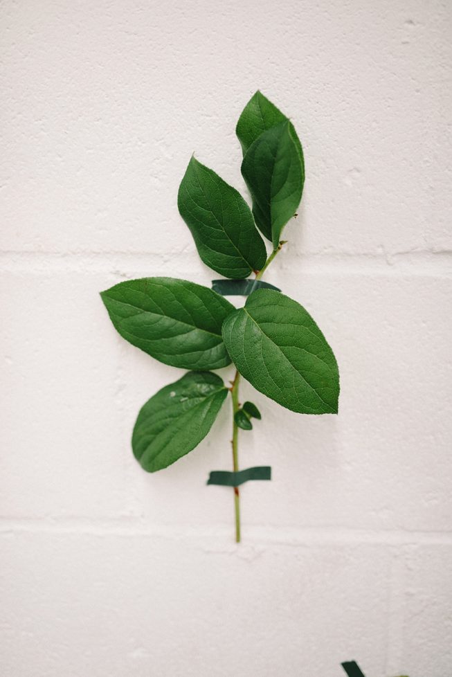 Maria + Jimmy Brewery Wedding16 Maria + Jimmy Brewery Wedding16