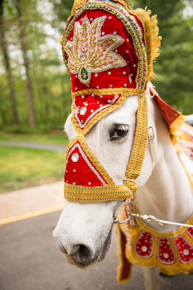 Photographick Studios | www.photographick.com | 571-449-7468 Photographick Studios | www.photographick.com | 571-449-7468