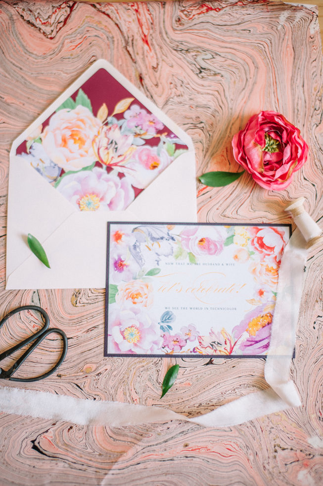 Technicolor Dream | Alpacas | Sarah Houston1 Technicolor Dream | Alpacas | Sarah Houston1