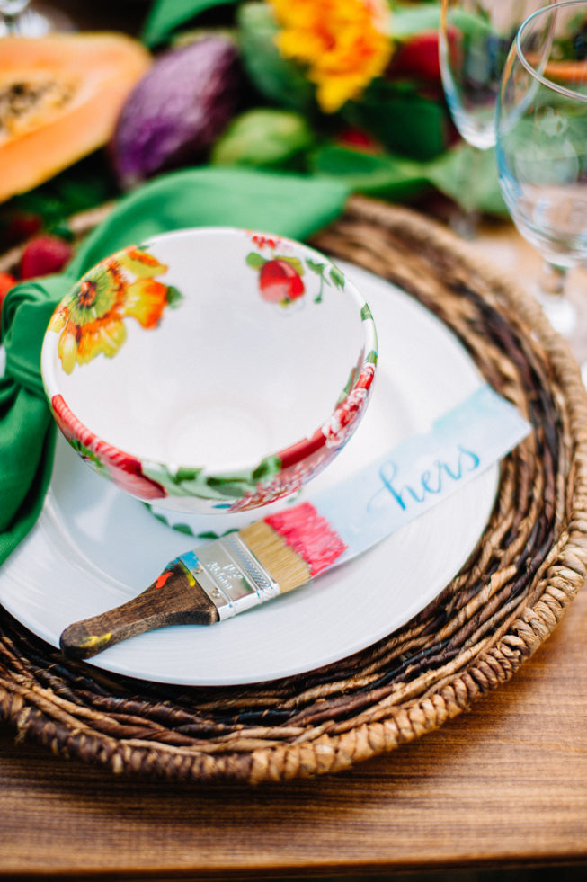 Technicolor Dream | Alpacas | Sarah Houston11 Technicolor Dream | Alpacas | Sarah Houston11