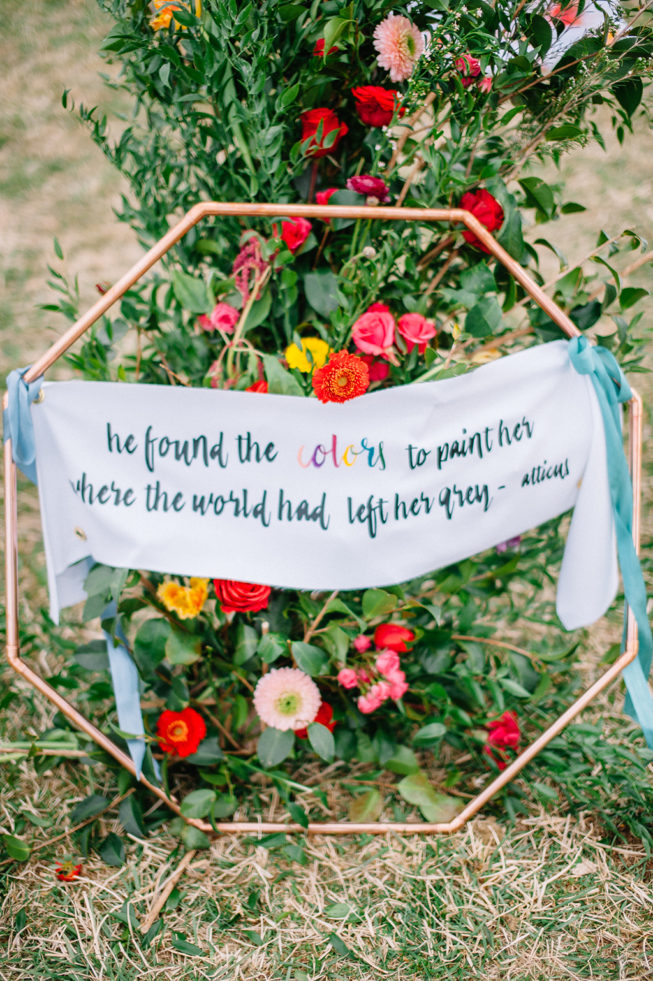 Technicolor Dream | Alpacas | Sarah Houston18 Technicolor Dream | Alpacas | Sarah Houston18