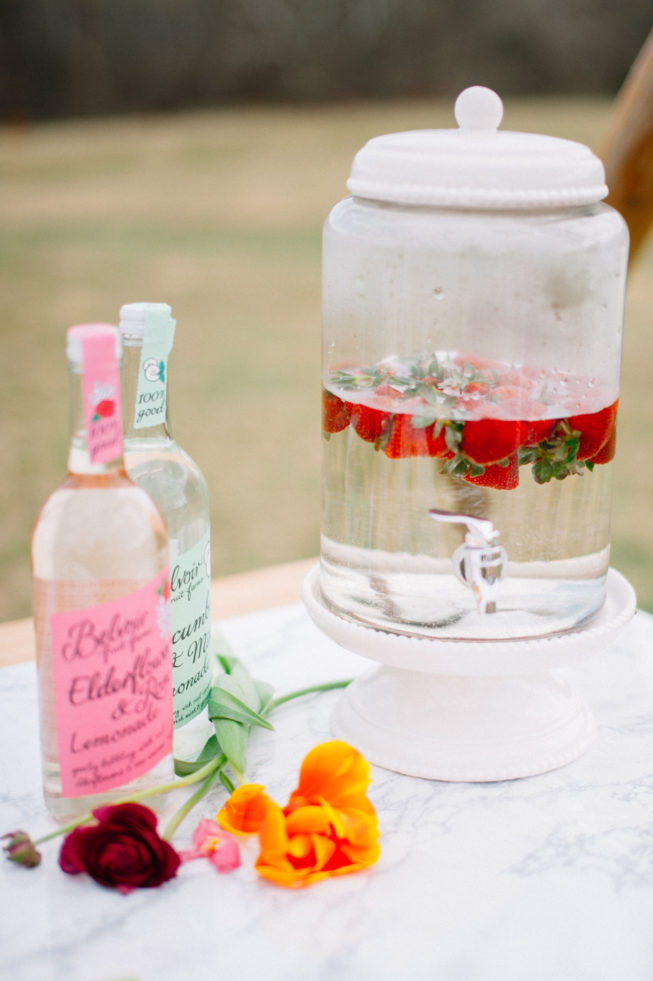 Technicolor Dream | Alpacas | Sarah Houston19 Technicolor Dream | Alpacas | Sarah Houston19