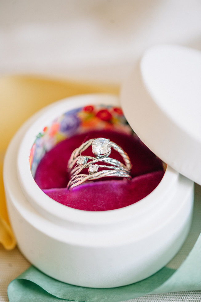 Technicolor Dream | Alpacas | Sarah Houston2 Technicolor Dream | Alpacas | Sarah Houston2