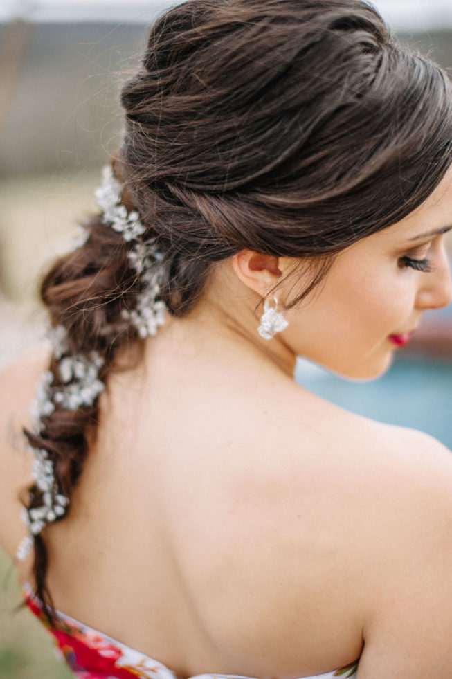 Technicolor Dream | Alpacas | Sarah Houston24 Technicolor Dream | Alpacas | Sarah Houston24