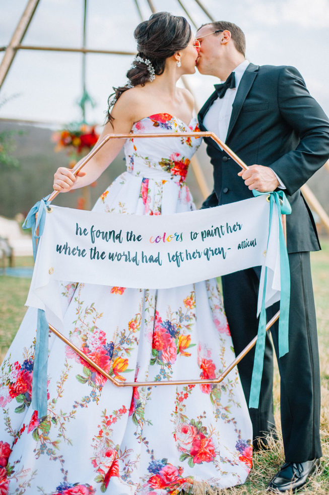 Technicolor Dream | Alpacas | Sarah Houston25 Technicolor Dream | Alpacas | Sarah Houston25