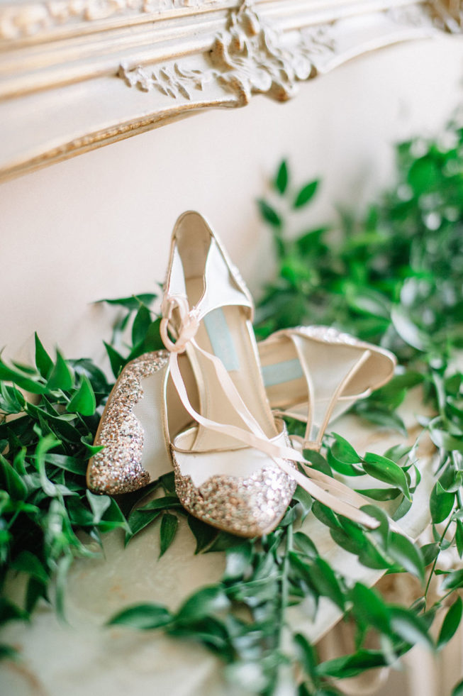 Technicolor Dream | Alpacas | Sarah Houston4 Technicolor Dream | Alpacas | Sarah Houston4