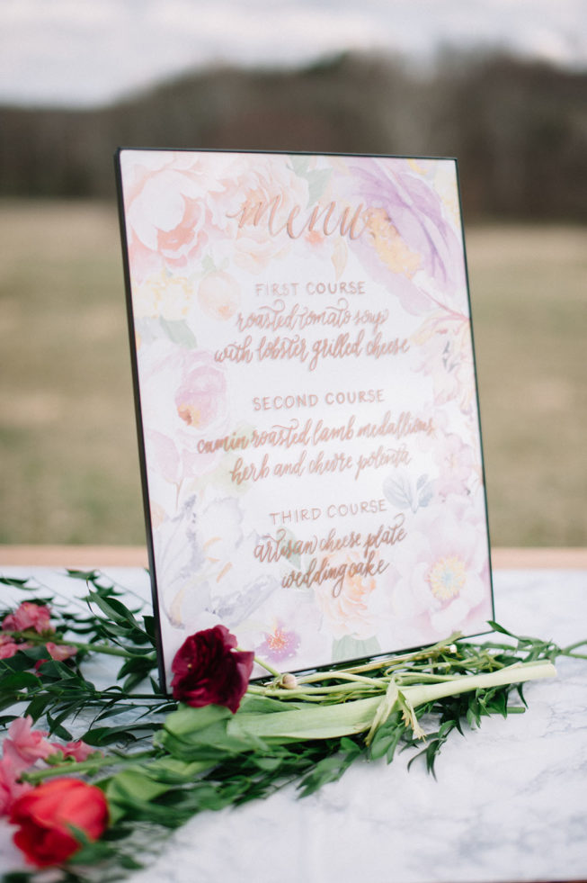 Technicolor Dream | Alpacas | Sarah Houston6 Technicolor Dream | Alpacas | Sarah Houston6