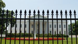 Substack Newsletter Writer Gets a Spot in the White House Briefing Room