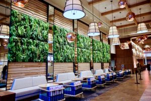 Restaurant and Bar-Hop at Mike Isabella’s Massive New Tysons Food Hall