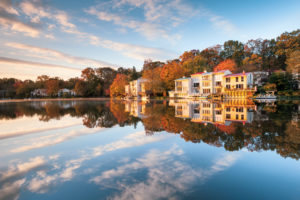 Where to Eat, Shop, and Explore in Reston and Herndon