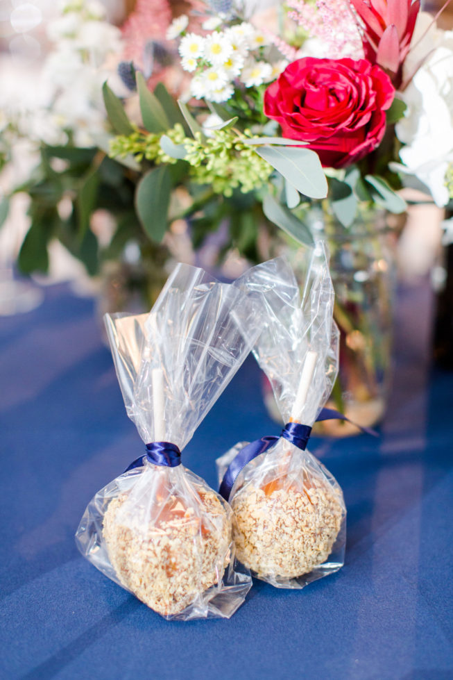 barns-hamilton-station-vineyard-wanka-wedding-reception-details-bethanne-arthur-photography-photos-40 barns-hamilton-station-vineyard-wanka-wedding-reception-details-bethanne-arthur-photography-photos-40