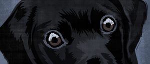 How Timothy Miller Got a Puppy