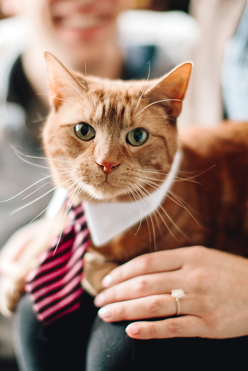 Katie Test + Dan Davis | Massey Photographers 5 copy Katie Test + Dan Davis | Massey Photographers 5 copy