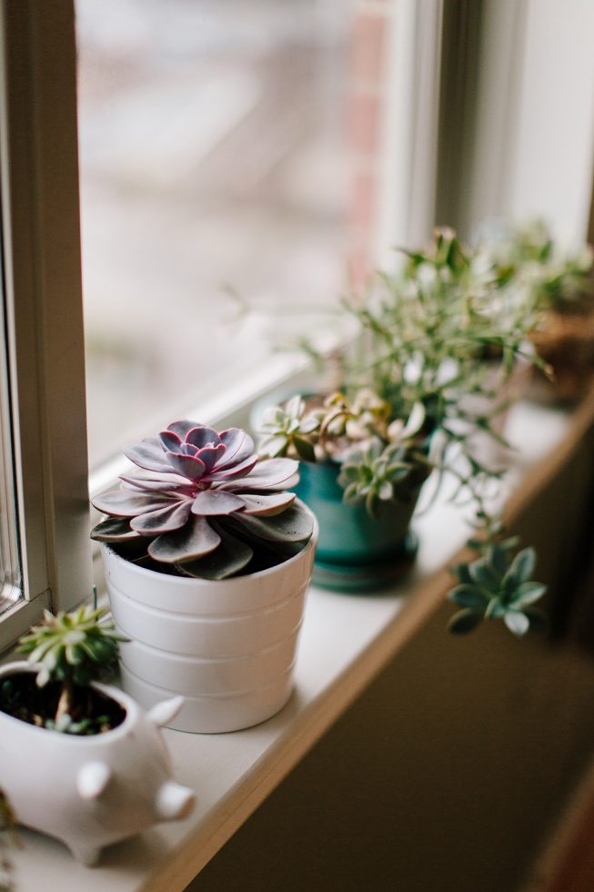 Katie Test + Dan Davis | Massey Photographers 8 Katie Test + Dan Davis | Massey Photographers 8