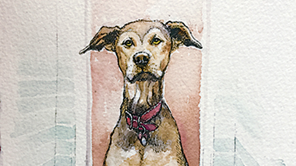 Illustration by Jamie Peterson.